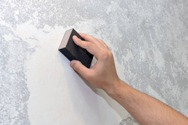 Best Commercial Mold Inspection  in Town And Country, WA