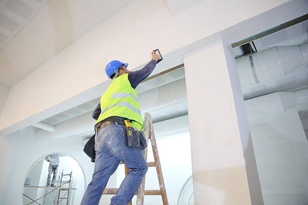Best Mold-Related Health Consultation  in Town And Country, WA